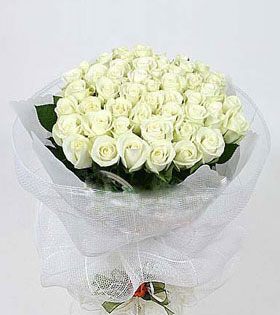 33 White Roses