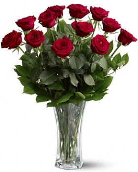 Dozen Long Stem Roses