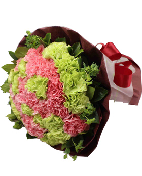 33 Green And Pink Carnations