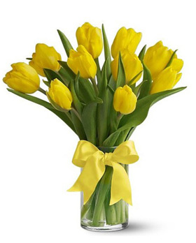 Yellow Tulip with Vase