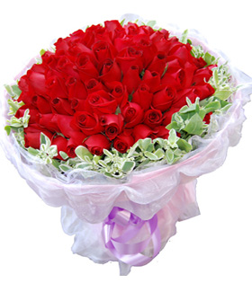 99 Red Roses Forever